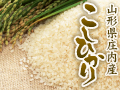 無農薬栽培米コシヒカリ